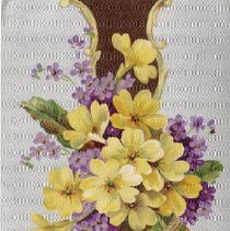 Omc 2016.002.224 (1)